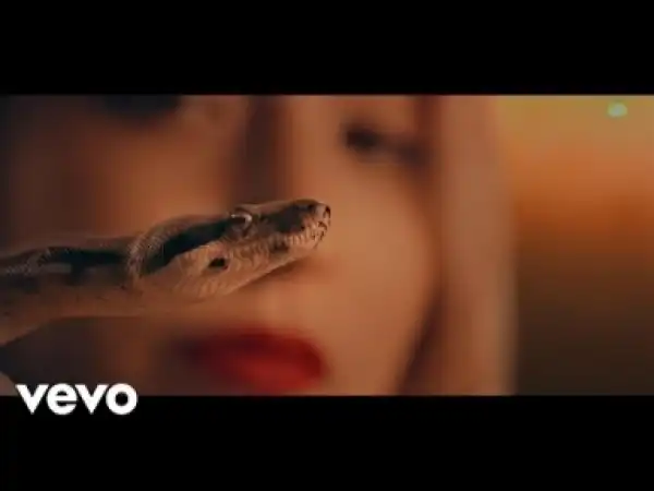 Video: Jay Prince - Promises (feat. Joyce Wrice)